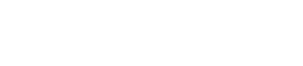 LionFx